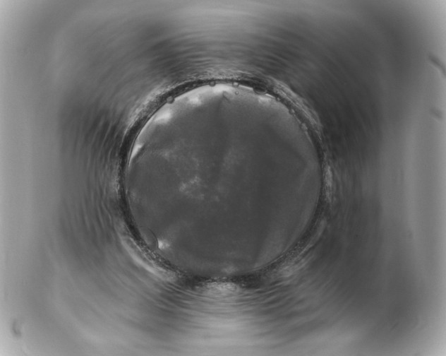 X0000102490203200808291657