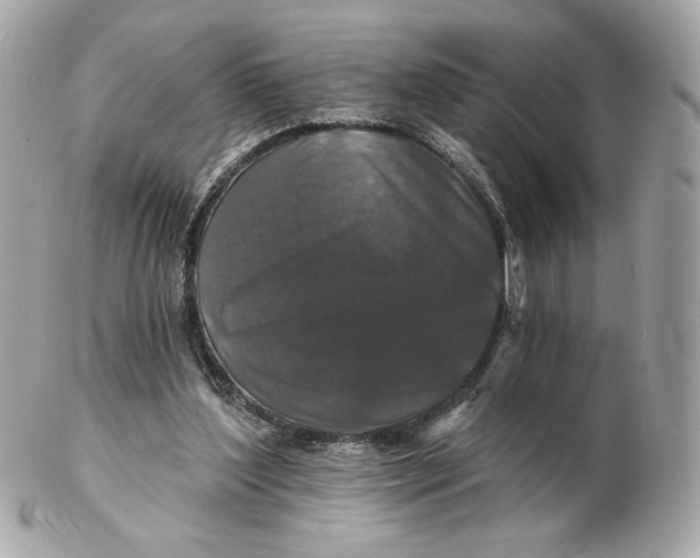 X0000102490204200808291657