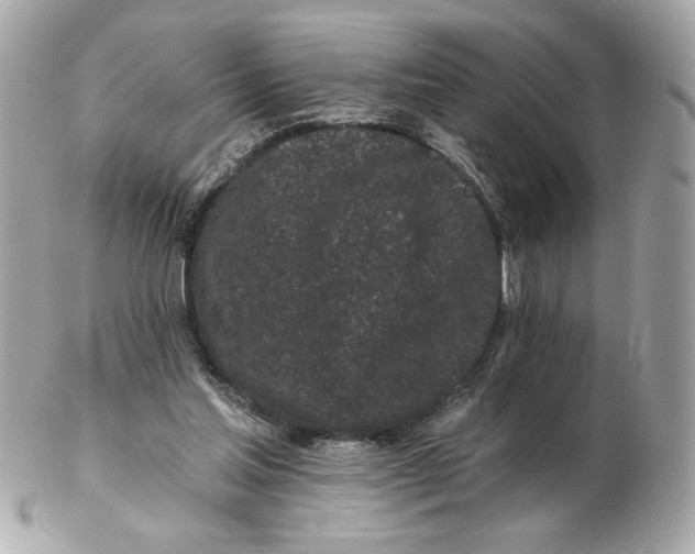 X0000102490205200808291657