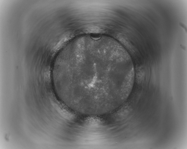 X0000102490207200808291657