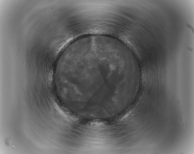 X0000102490208200808291657