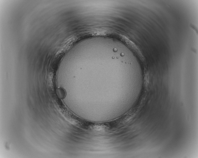 X0000102490209200808291657