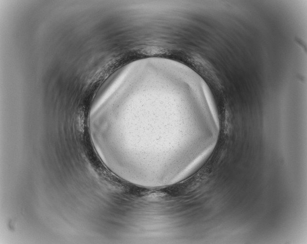 X0000102490210200808291657