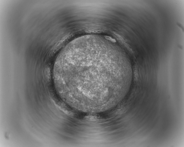 X0000102490211200808291657