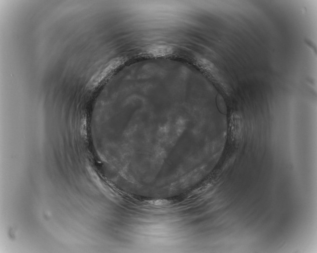 X0000102490212200808291657