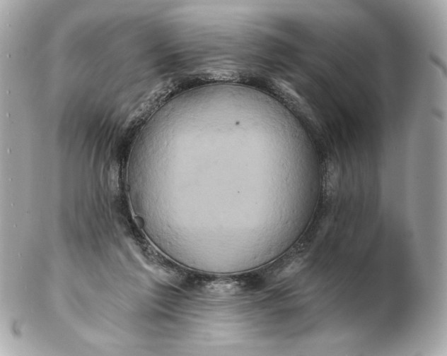 X0000102490213200808291657