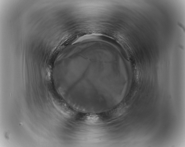 X0000102490214200808291657