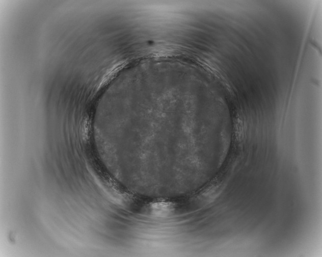 X0000102490216200808291657