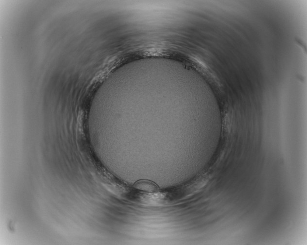 X0000102490217200808291657