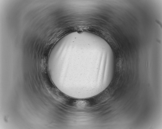 X0000102490218200808291657