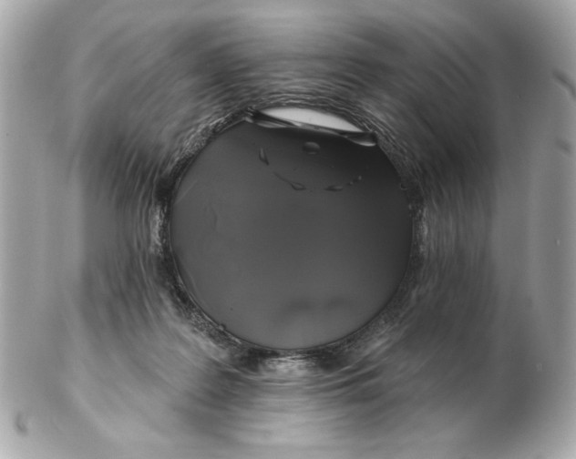 X0000102490219200808291657