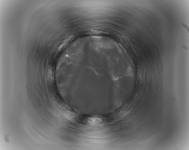 X0000102490220200808291657