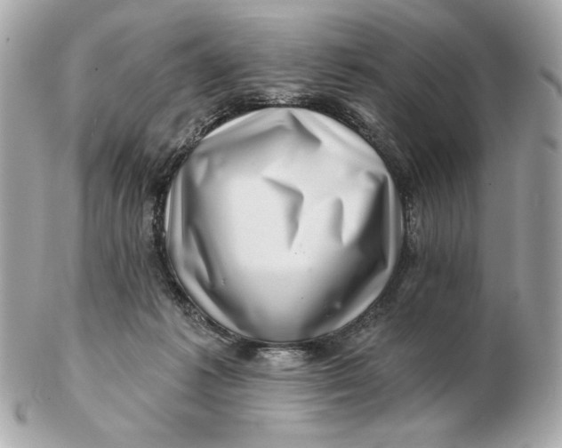 X0000102490221200808291656