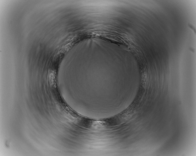 X0000102490222200808291656