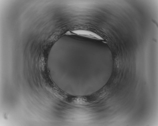 X0000102490223200808291656