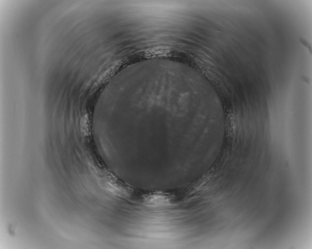 X0000102490224200808291656