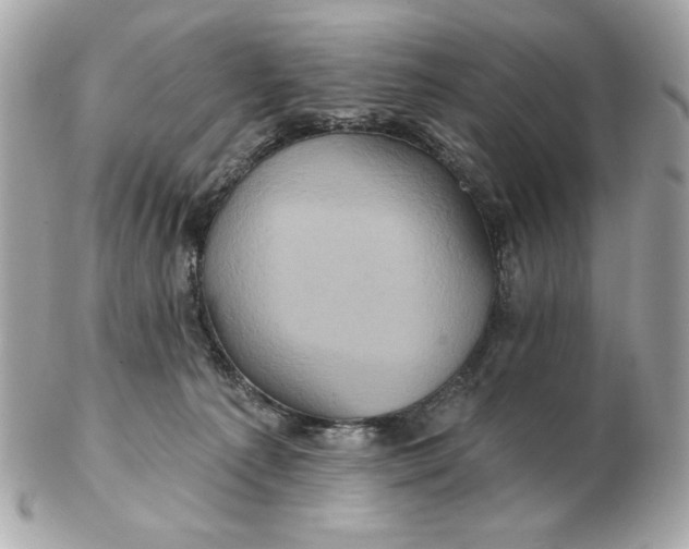 X0000102490225200808291656