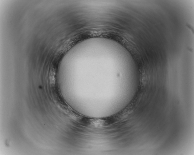 X0000102490226200808291656