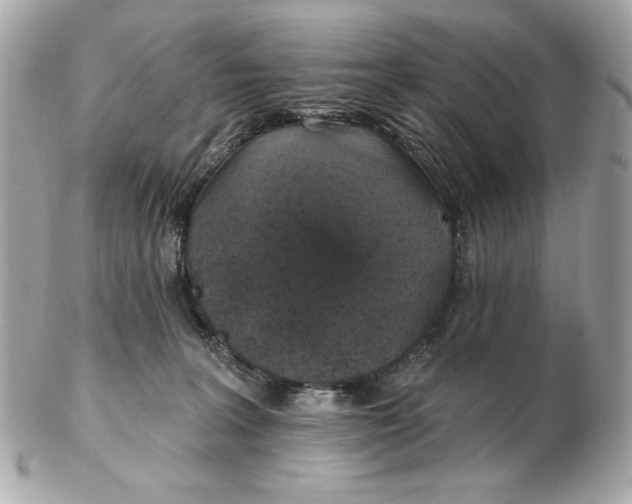 X0000102490227200808291656