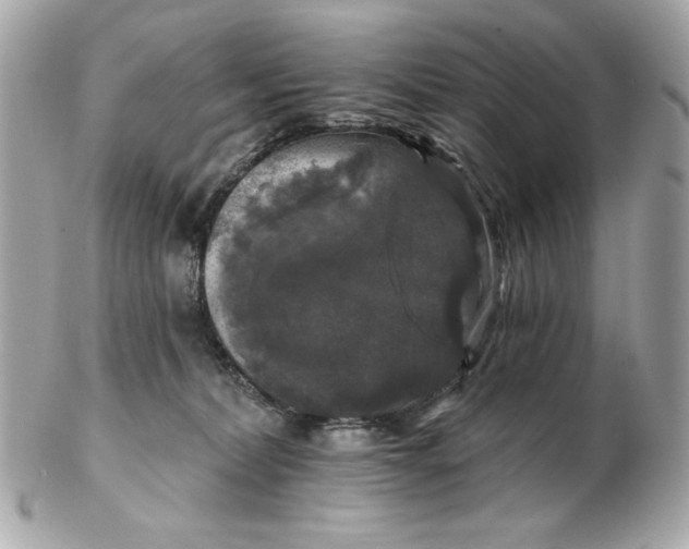 X0000102490228200808291656