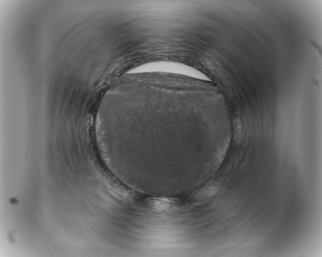 X0000102490229200808291656