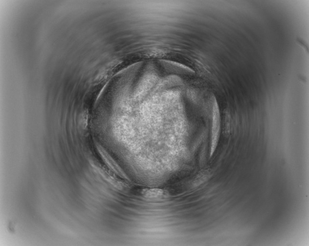 X0000102490230200808291656