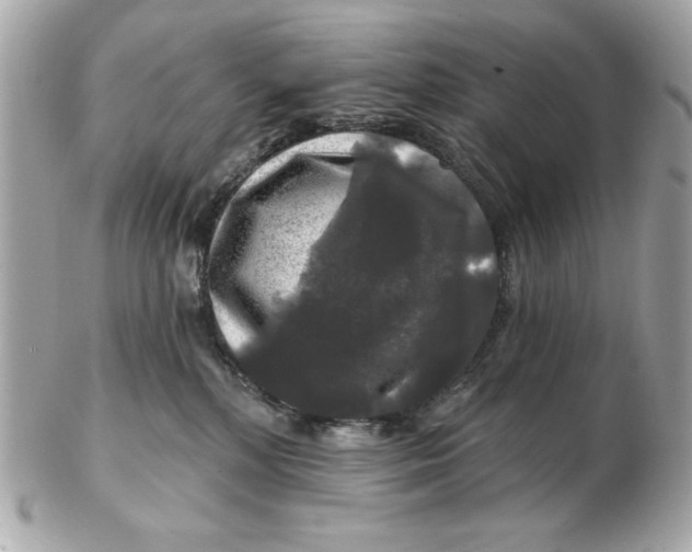 X0000102490232200808291656