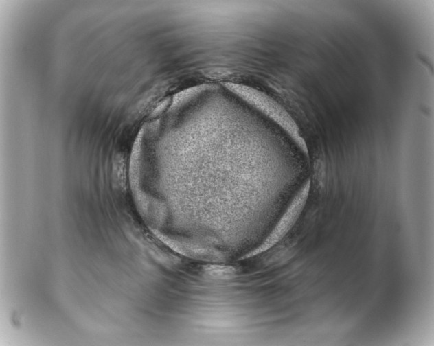 X0000102490234200808291656