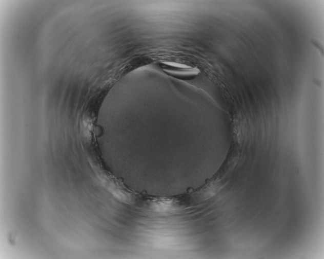 X0000102490235200808291656