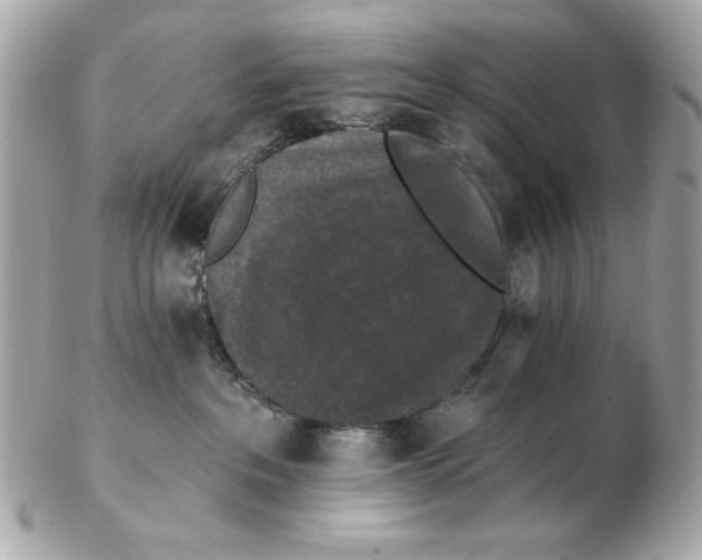 X0000102490237200808291656