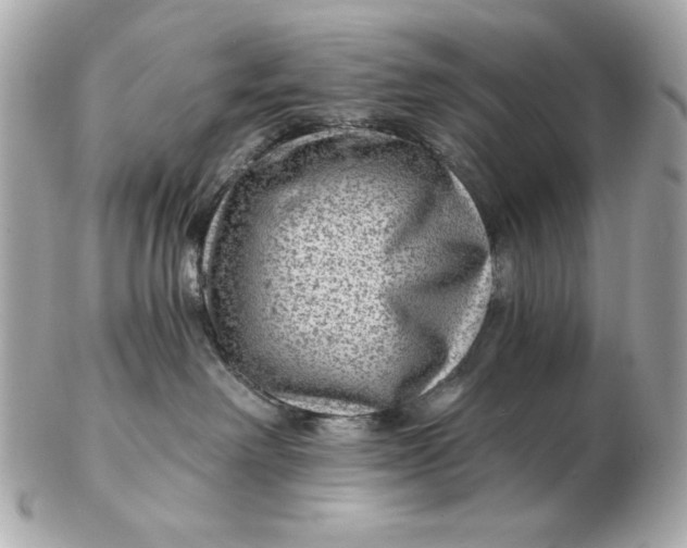 X0000102490238200808291656