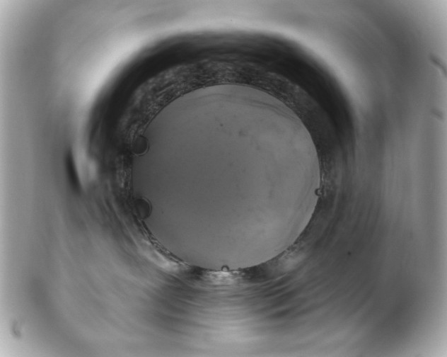 X0000102490239200808291656