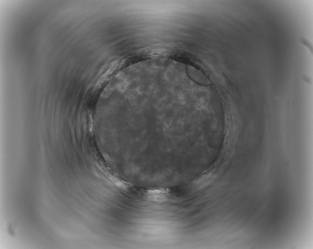 X0000102490240200808291656