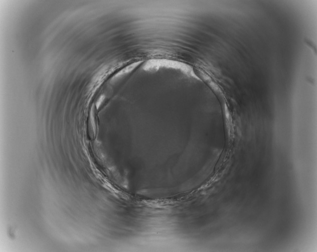 X0000102490241200808291655