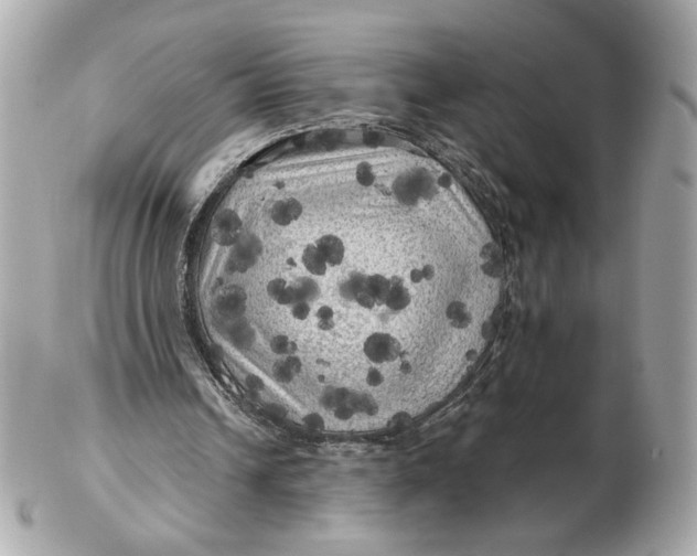 X0000102490242200808291655