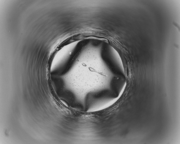 X0000102490244200808291655