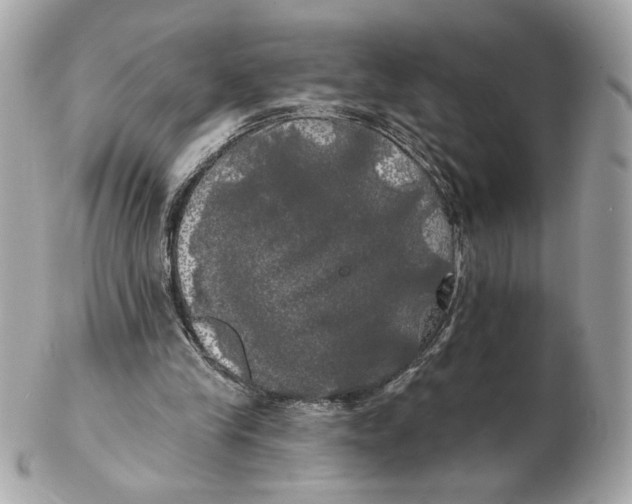 X0000102490245200808291655