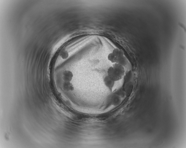 X0000102490246200808291655