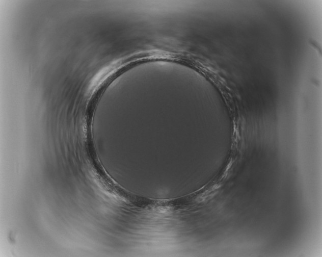 X0000102490247200808291655