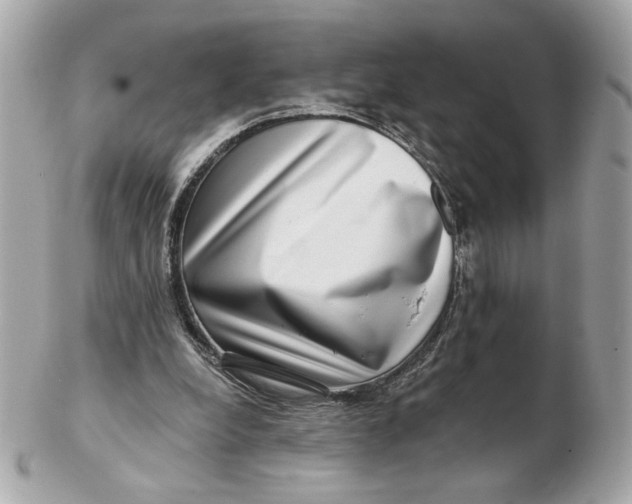 X0000102490248200808291655