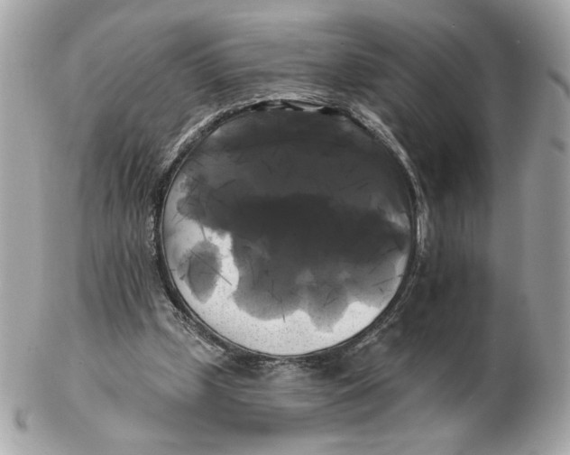 X0000102490249200808291655