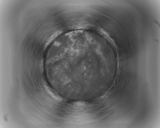 X0000102490250200808291655