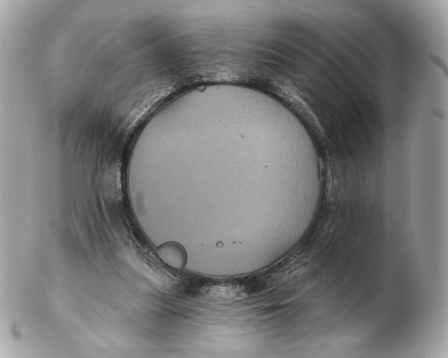 X0000102490251200808291655