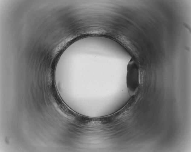 X0000102490252200808291655