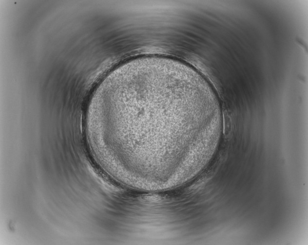 X0000102490253200808291655