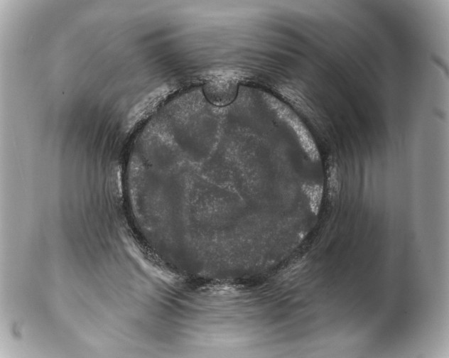 X0000102490254200808291655