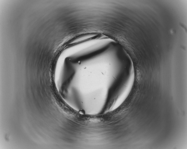 X0000102490256200808291656