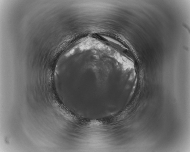 X0000102490257200808291656