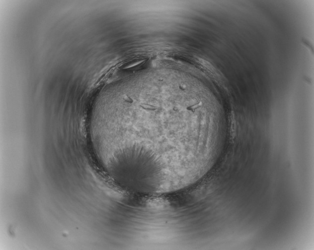 X0000102490258200808291656