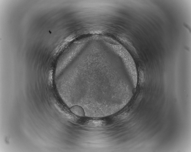 X0000102490260200808291656